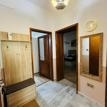 Detelina Bee Happy In Apartment