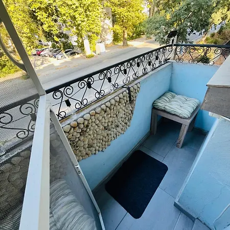 Detelina Bee Happy In Daire *