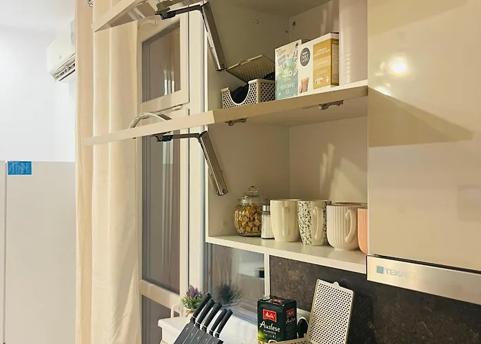 Detelina Bee Happy In Burgas