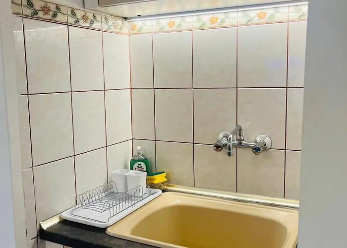 Detelina Bee Happy In Apartment *