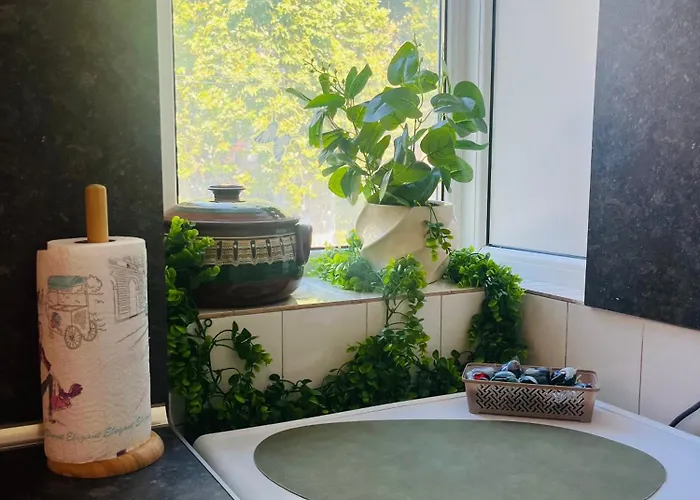 Detelina Bee Happy In Apartment