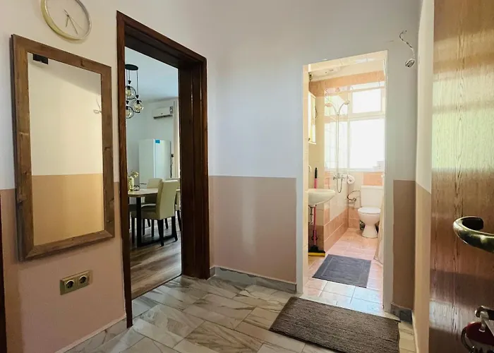 Detelina Bee Happy In Daire *