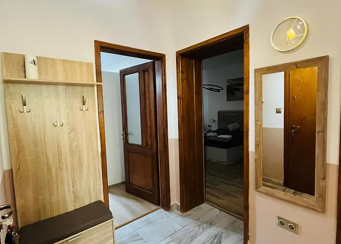 Detelina Bee Happy In Apartment