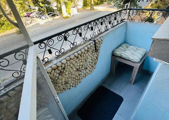 Detelina Bee Happy In Daire *