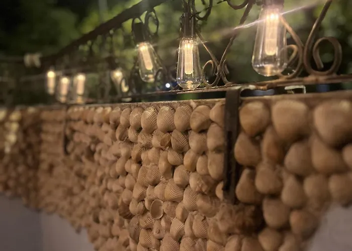 Detelina Bee Happy In Burgaz