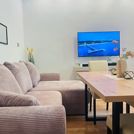 Detelina Bee Happy In