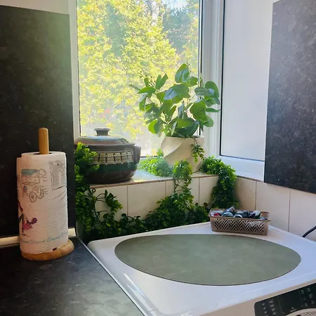 Detelina Bee Happy In 아파트