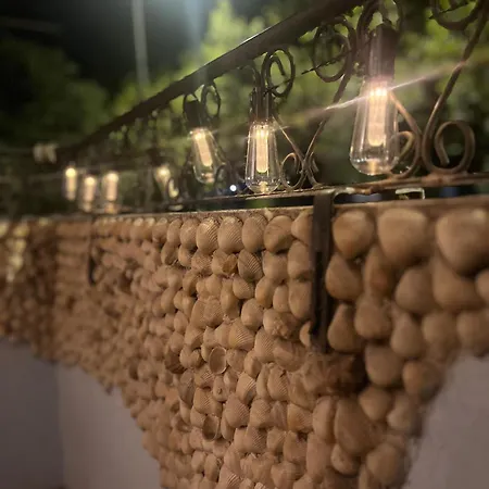 Detelina Bee Happy In 부르가스